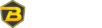 BitRaise Logo
